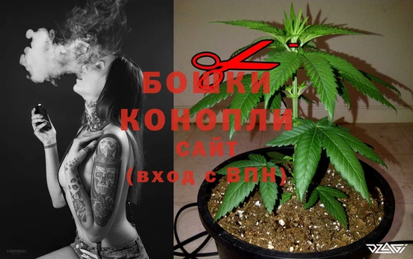 каннабис Арсеньев
