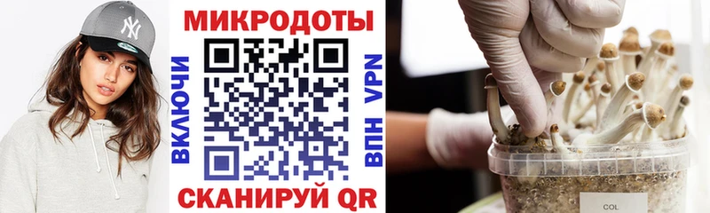 OMG ТОР  Сафоново  Галлюциногенные грибы GOLDEN TEACHER 